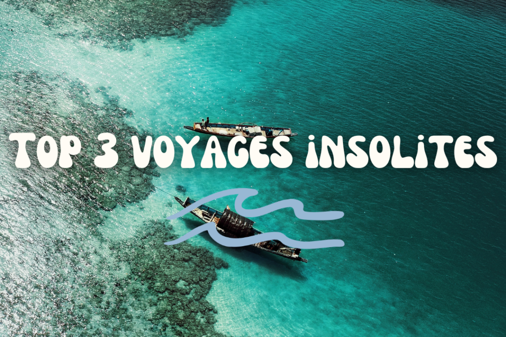 Lire la suite à propos de l’article Top 3 voyages insolites